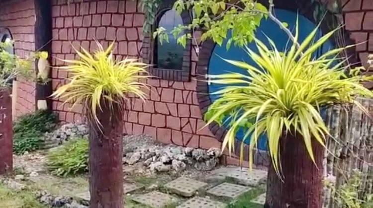 Kamp Aninipot Hotel Siquijor Luaran gambar
